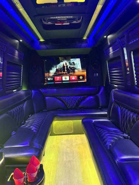 Luxury Jet Sprinter — 10 Passenger — Luxury Jet Sprinter exterior